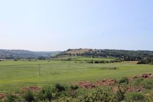 Photo 23- click for photo gallery